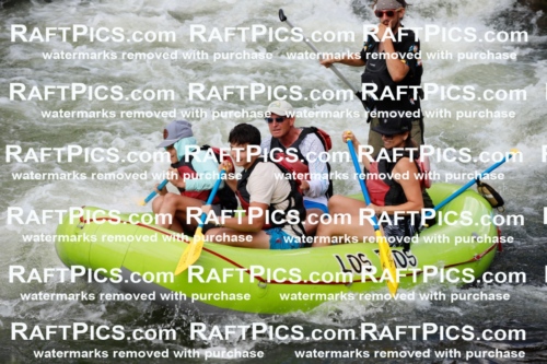 021867_RaftPics_July_22_LosRios_Racecourse_PM_Brodie_TC_