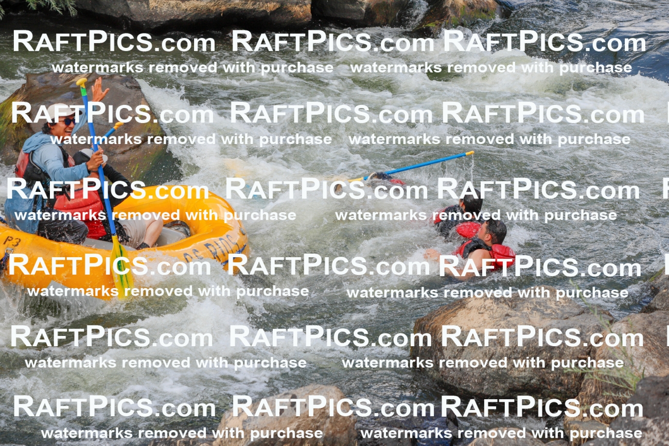 021972_RaftPics_July_22_LosRios_Racecourse_PM_Raul_TC_