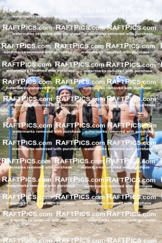 022009_RaftPics_July_22_NewWave_Racecourse_PM_Joey_TC_