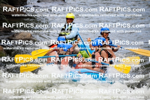 022011_RaftPics_July_22_NewWave_Racecourse_PM_Joey_TC_