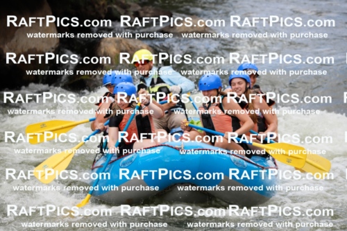 022019_RaftPics_July_22_NewWave_Racecourse_PM_Joey_TC_