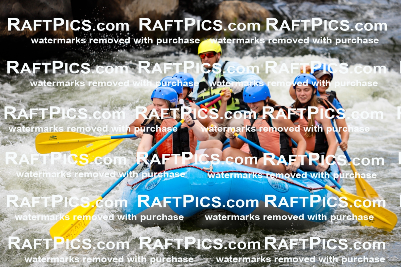 022024_RaftPics_July_22_NewWave_Racecourse_PM_Joey_TC_