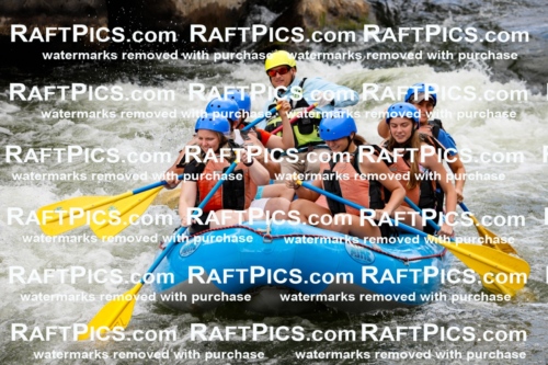 022025_RaftPics_July_22_NewWave_Racecourse_PM_Joey_TC_