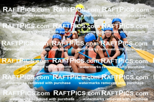 022028_RaftPics_July_22_NewWave_Racecourse_PM_Joey_TC_