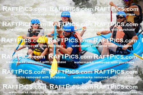 022068_RaftPics_July_22_NewWave_Racecourse_PM_Orlando_TC_