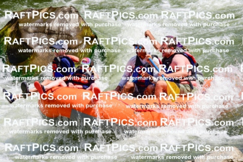 004432_July-23_Los-Rios_RAFTPICS_Racecourse-AM_LA-Shay