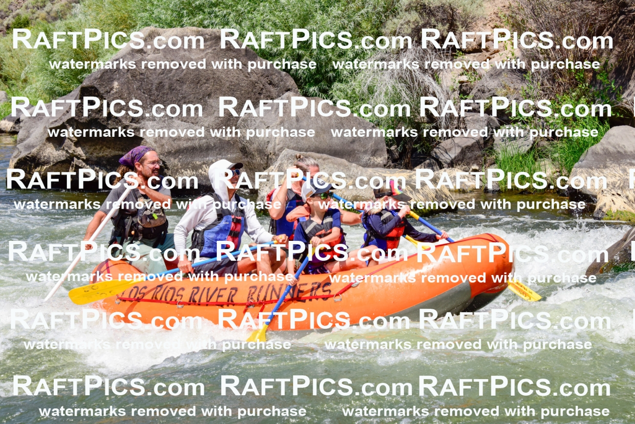 004436_July-23_Los-Rios_RAFTPICS_Racecourse-AM_LA-Shay