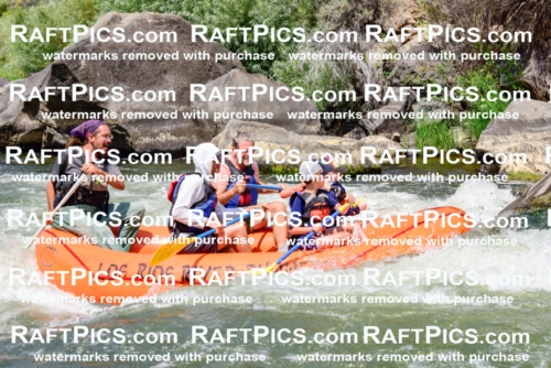 004437_July-23_Los-Rios_RAFTPICS_Racecourse-AM_LA-Shay