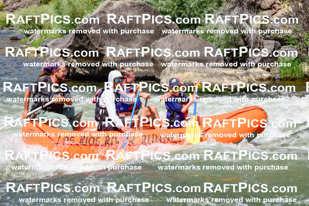 004438_July-23_Los-Rios_RAFTPICS_Racecourse-AM_LA-Shay