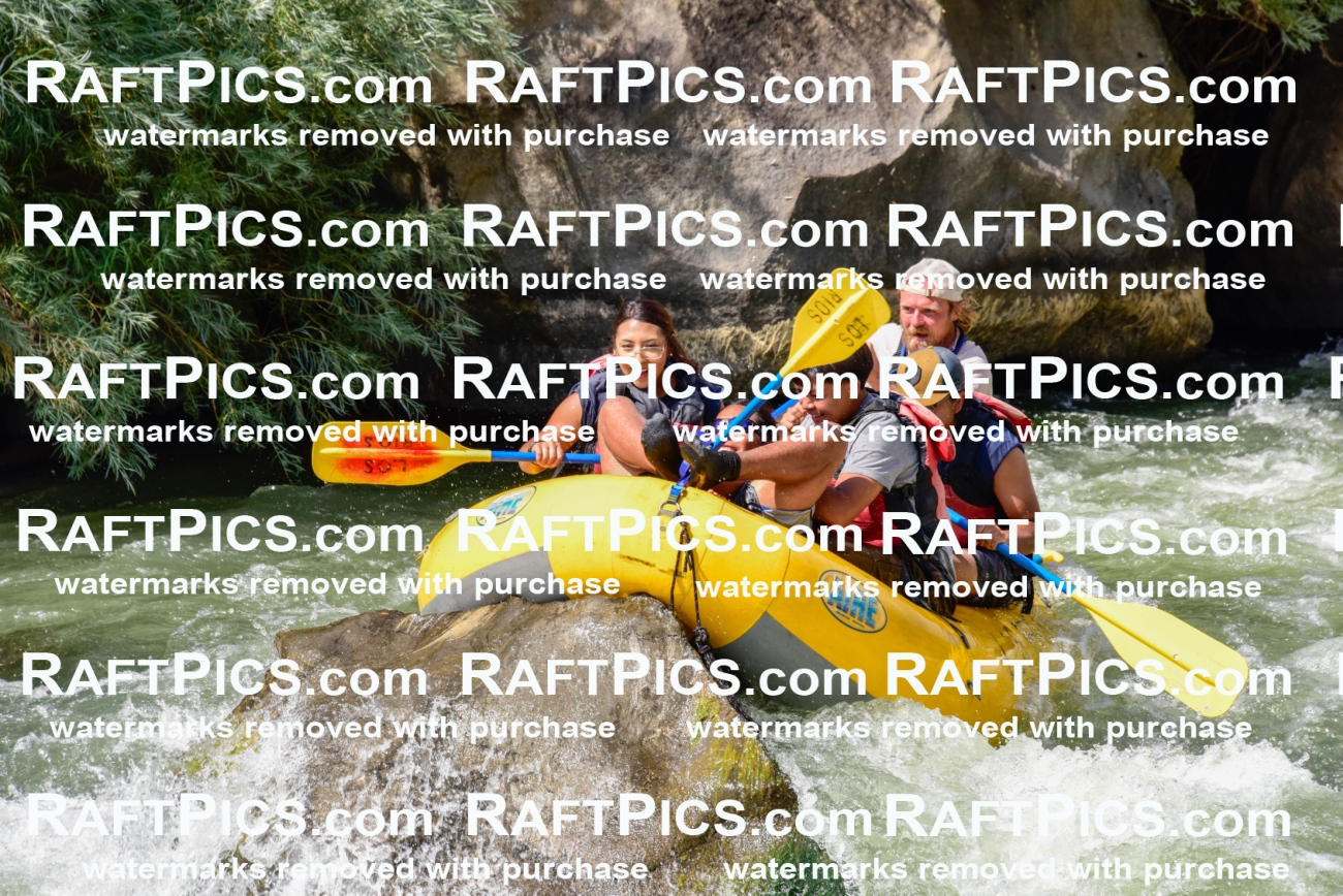 004670_July-23_Los-Rios_RAFTPICS_Racecourse-PM_LA-Abe