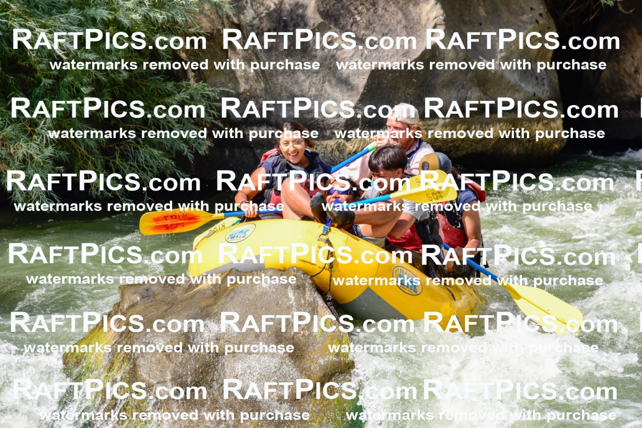 004671_July-23_Los-Rios_RAFTPICS_Racecourse-PM_LA-Abe