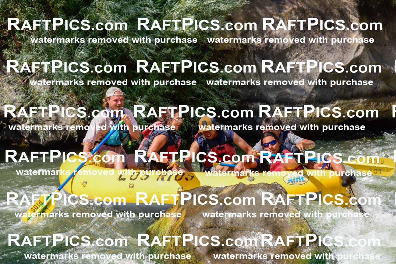 004676_July-23_Los-Rios_RAFTPICS_Racecourse-PM_LA-Abe