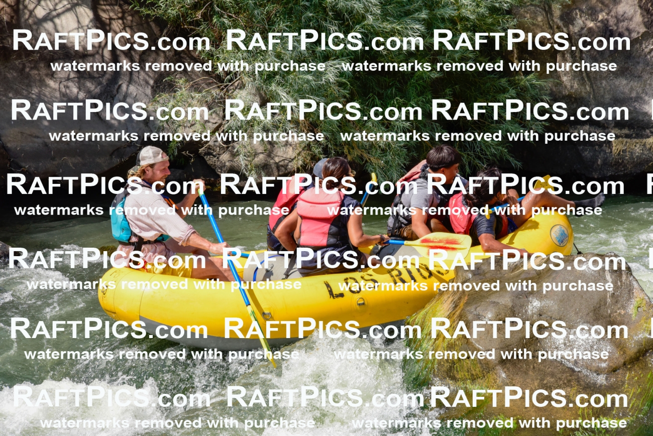 004678_July-23_Los-Rios_RAFTPICS_Racecourse-PM_LA-Abe