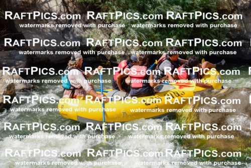 004679_July-23_Los-Rios_RAFTPICS_Racecourse-PM_LA-Abe