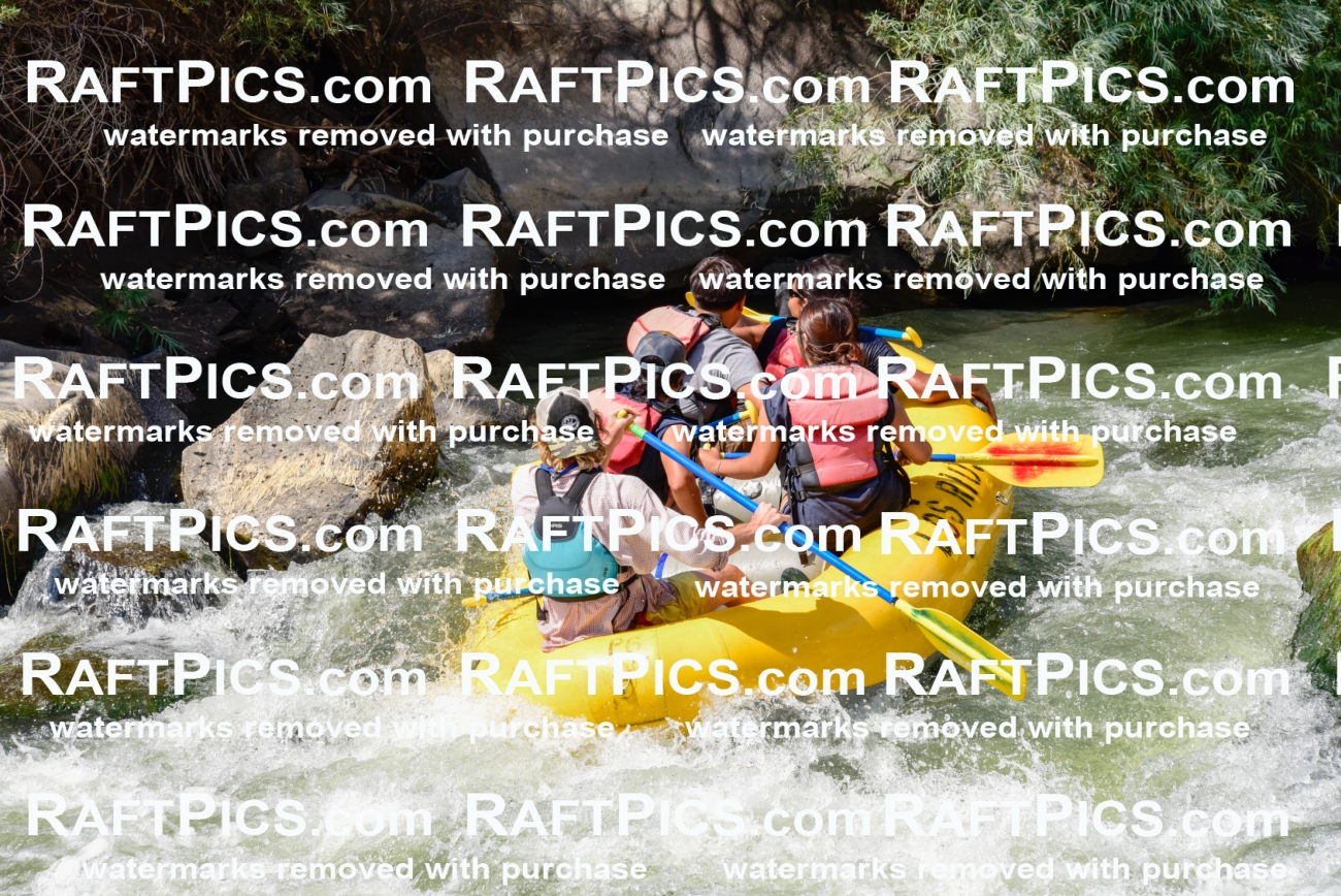 004681_July-23_Los-Rios_RAFTPICS_Racecourse-PM_LA-Abe