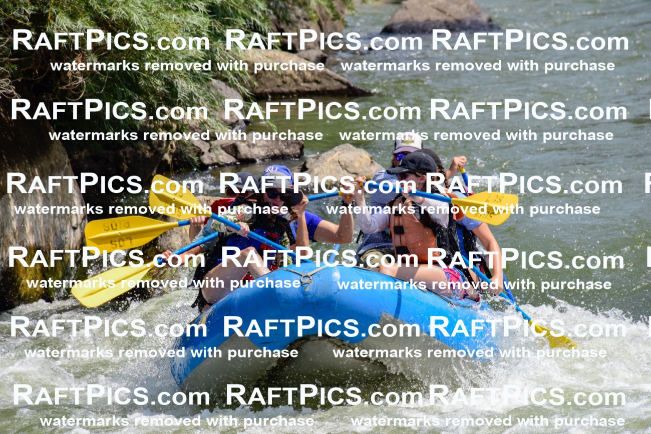 004912_July-24_Los-Rios_RAFTPICS_Racecourse-AM_LA-Mordy