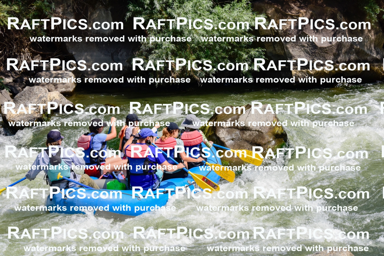 004932_July-24_Los-Rios_RAFTPICS_Racecourse-AM_LA-Mordy