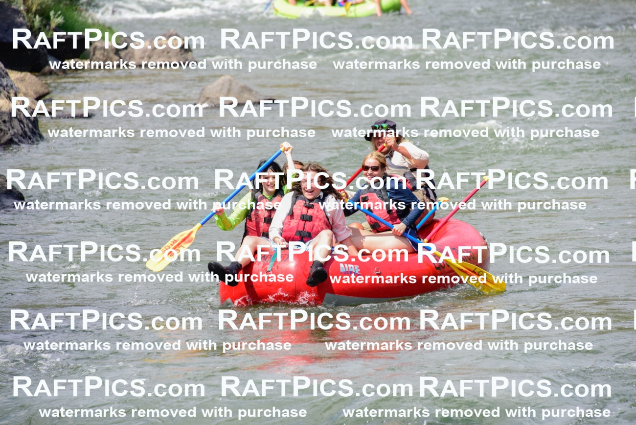 005564_July-24_Los-Rios_RAFTPICS_Racecourse-PM_LAZack