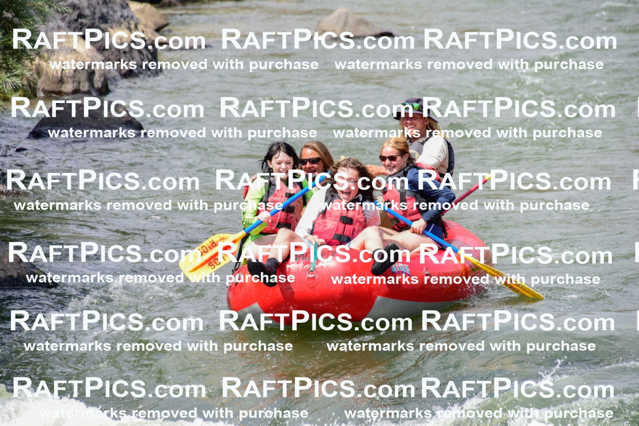 005566_July-24_Los-Rios_RAFTPICS_Racecourse-PM_LAZack