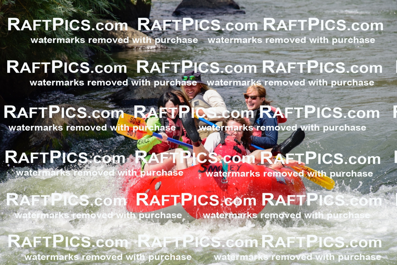 005573_July-24_Los-Rios_RAFTPICS_Racecourse-PM_LAZack