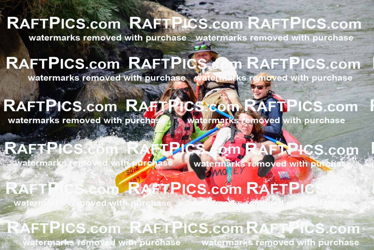 005574_July-24_Los-Rios_RAFTPICS_Racecourse-PM_LAZack