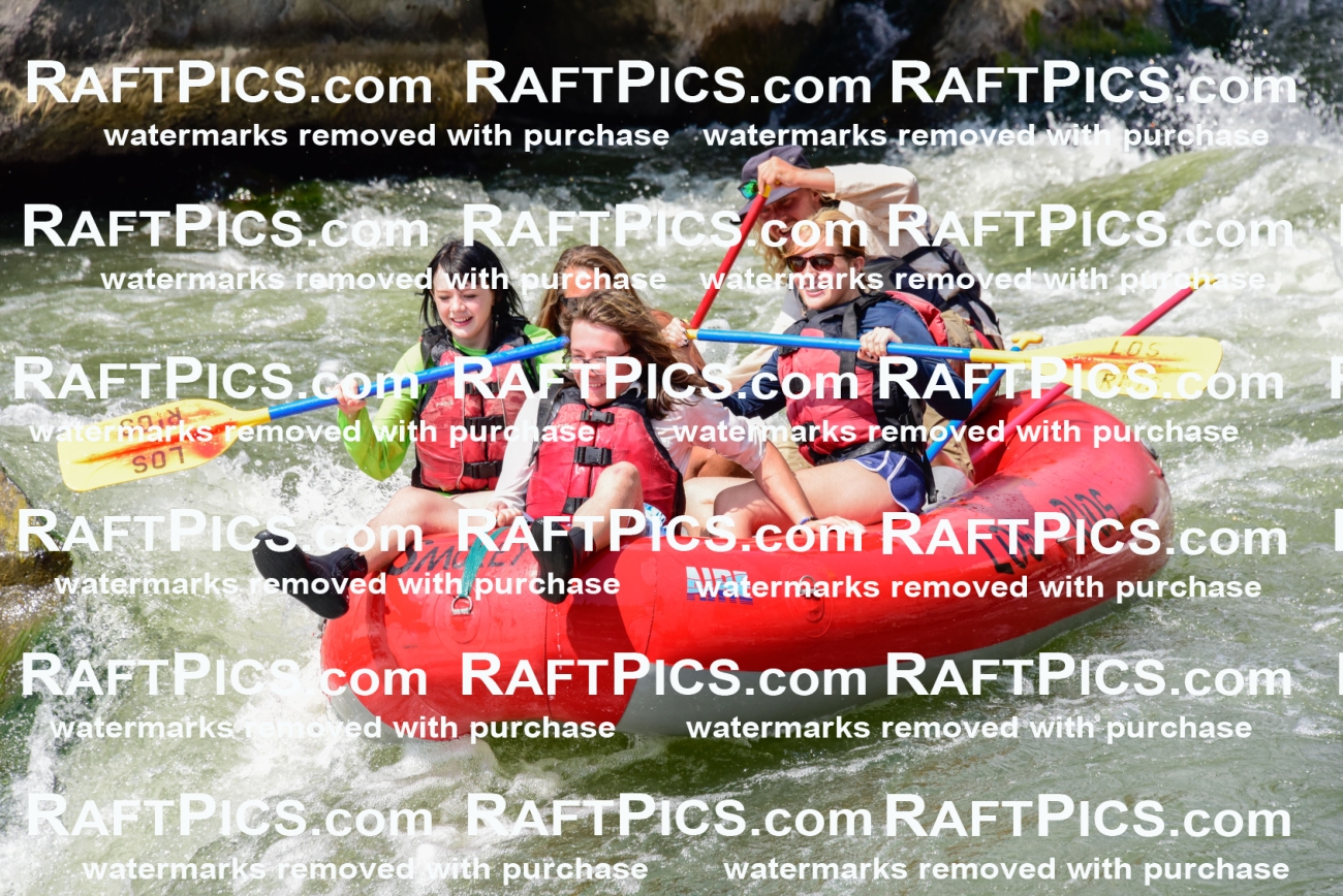 005582_July-24_Los-Rios_RAFTPICS_Racecourse-PM_LAZack