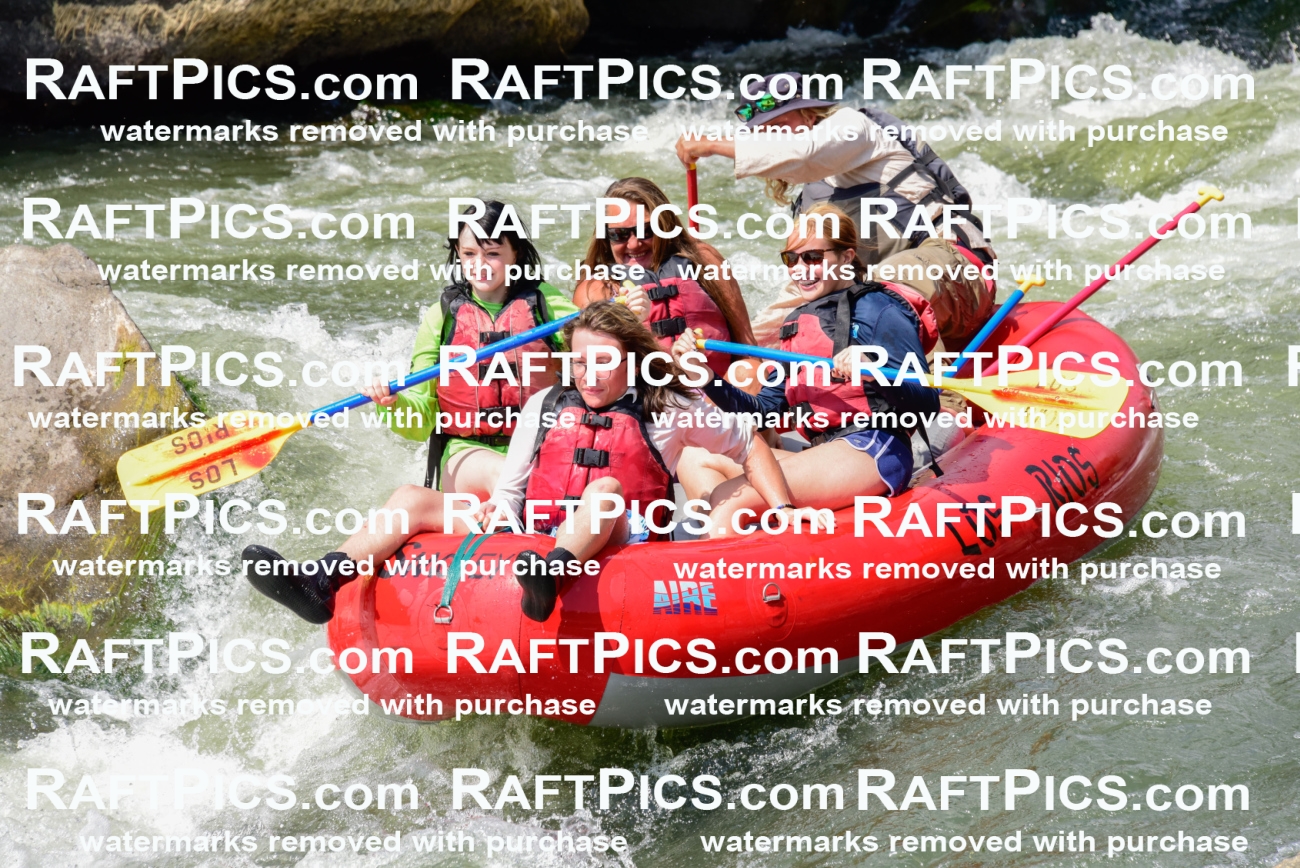 005583_July-24_Los-Rios_RAFTPICS_Racecourse-PM_LAZack