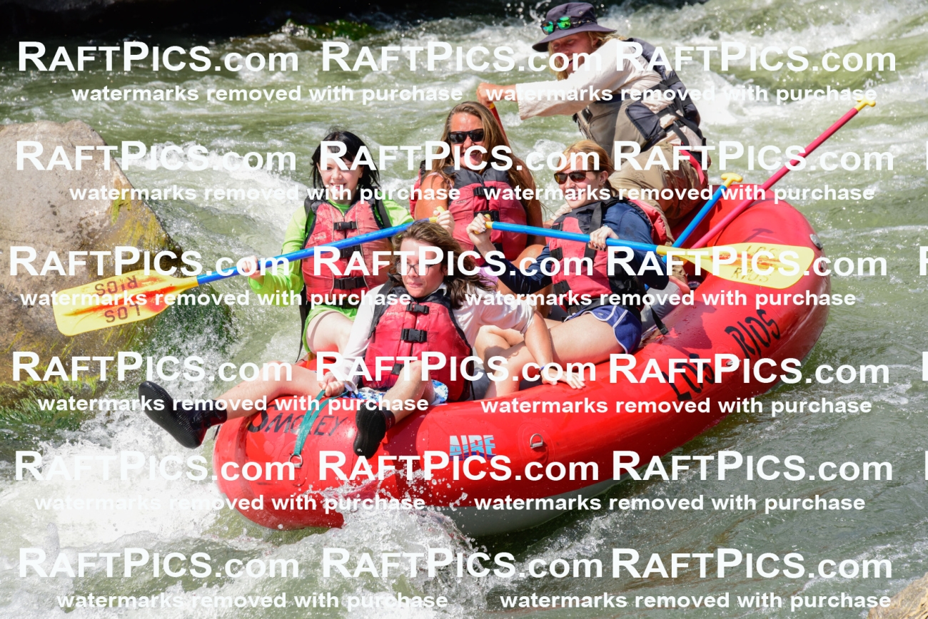 005584_July-24_Los-Rios_RAFTPICS_Racecourse-PM_LAZack