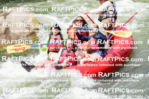 005585_July-24_Los-Rios_RAFTPICS_Racecourse-PM_LAZack