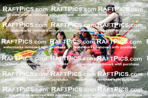 005586_July-24_Los-Rios_RAFTPICS_Racecourse-PM_LAZack