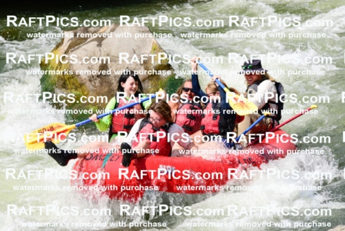 005588_July-24_Los-Rios_RAFTPICS_Racecourse-PM_LAZack