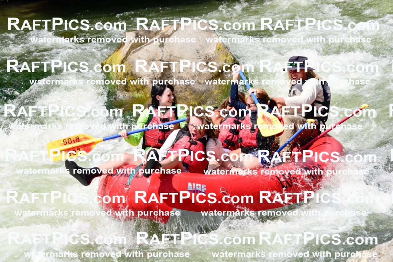 005589_July-24_Los-Rios_RAFTPICS_Racecourse-PM_LAZack