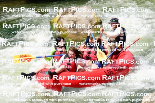 005590_July-24_Los-Rios_RAFTPICS_Racecourse-PM_LAZack