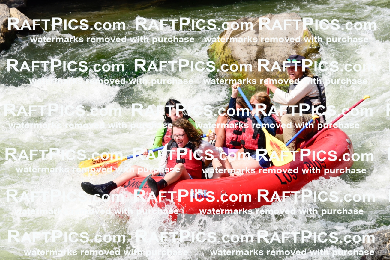 005591_July-24_Los-Rios_RAFTPICS_Racecourse-PM_LAZack