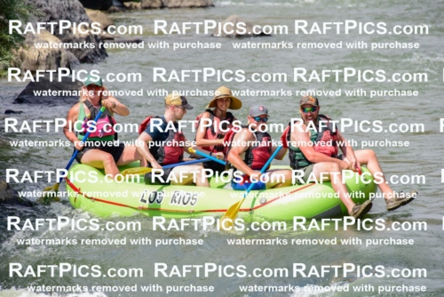 005532_July-24_Los-Rios_RAFTPICS_Racecourse-PM_LARachel