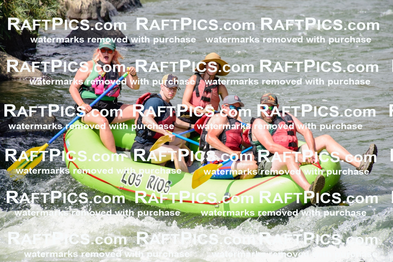 005533_July-24_Los-Rios_RAFTPICS_Racecourse-PM_LARachel