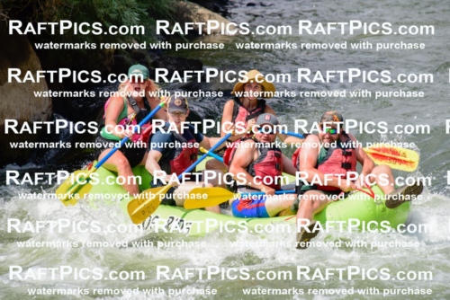 005540_July-24_Los-Rios_RAFTPICS_Racecourse-PM_LARachel