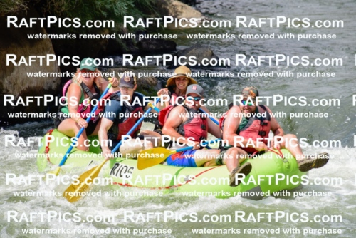 005541_July-24_Los-Rios_RAFTPICS_Racecourse-PM_LARachel