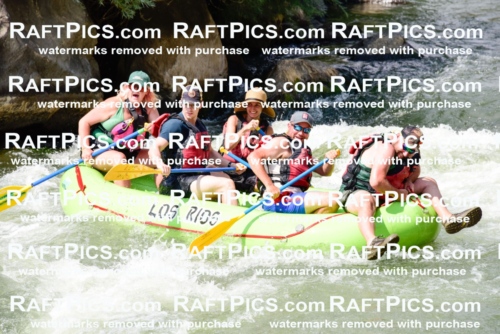 005544_July-24_Los-Rios_RAFTPICS_Racecourse-PM_LARachel