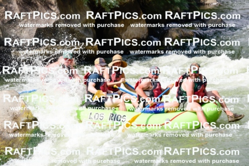 005548_July-24_Los-Rios_RAFTPICS_Racecourse-PM_LARachel