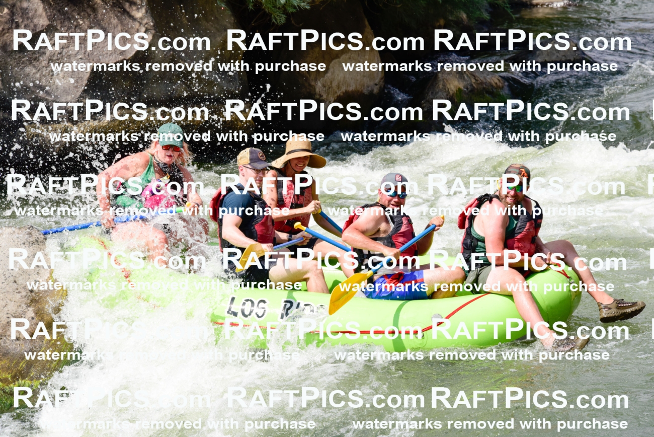 005549_July-24_Los-Rios_RAFTPICS_Racecourse-PM_LARachel