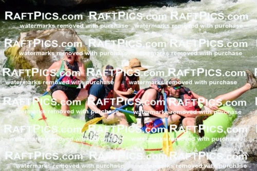 005558_July-24_Los-Rios_RAFTPICS_Racecourse-PM_LARachel