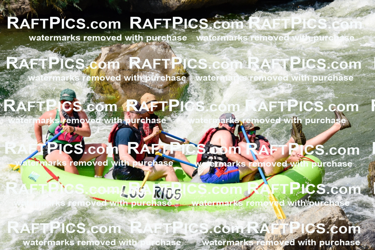 005560_July-24_Los-Rios_RAFTPICS_Racecourse-PM_LARachel