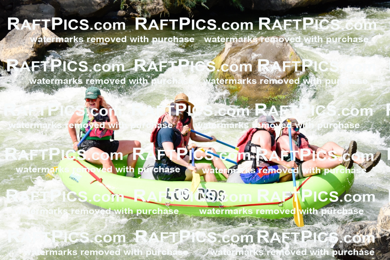 005561_July-24_Los-Rios_RAFTPICS_Racecourse-PM_LARachel