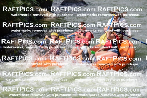 005503_July-24_Los-Rios_RAFTPICS_Racecourse-PM_LANate