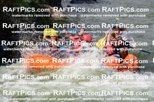 005504_July-24_Los-Rios_RAFTPICS_Racecourse-PM_LANate