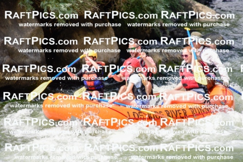 005509_July-24_Los-Rios_RAFTPICS_Racecourse-PM_LANate