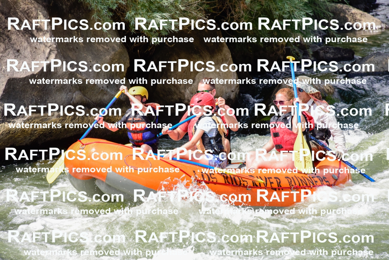 005510_July-24_Los-Rios_RAFTPICS_Racecourse-PM_LANate