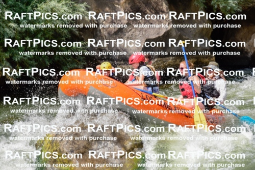 005515_July-24_Los-Rios_RAFTPICS_Racecourse-PM_LANate