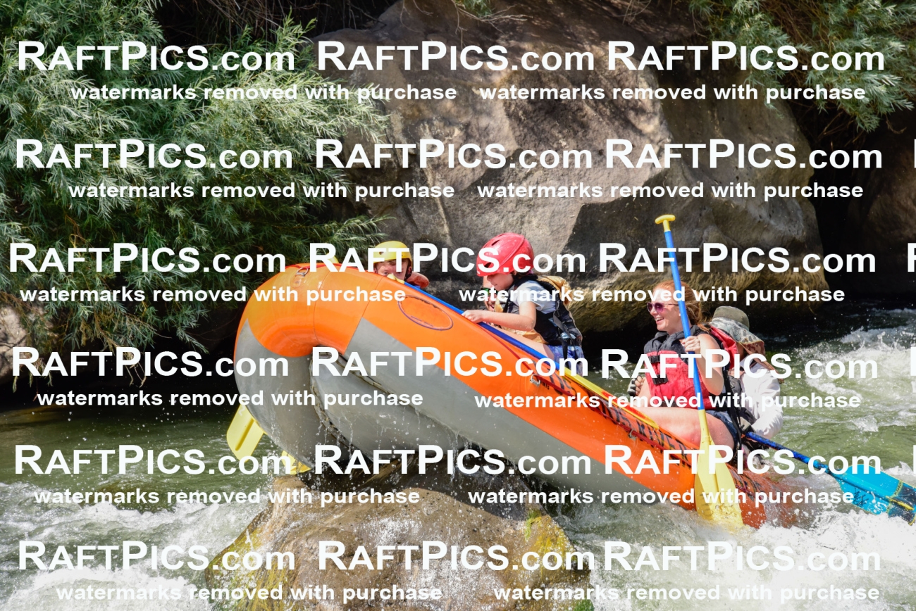 005517_July-24_Los-Rios_RAFTPICS_Racecourse-PM_LANate